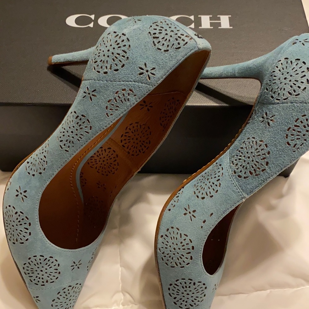 Blue suede shoes